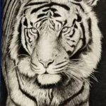 White Tiger