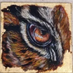 Tiger Eye