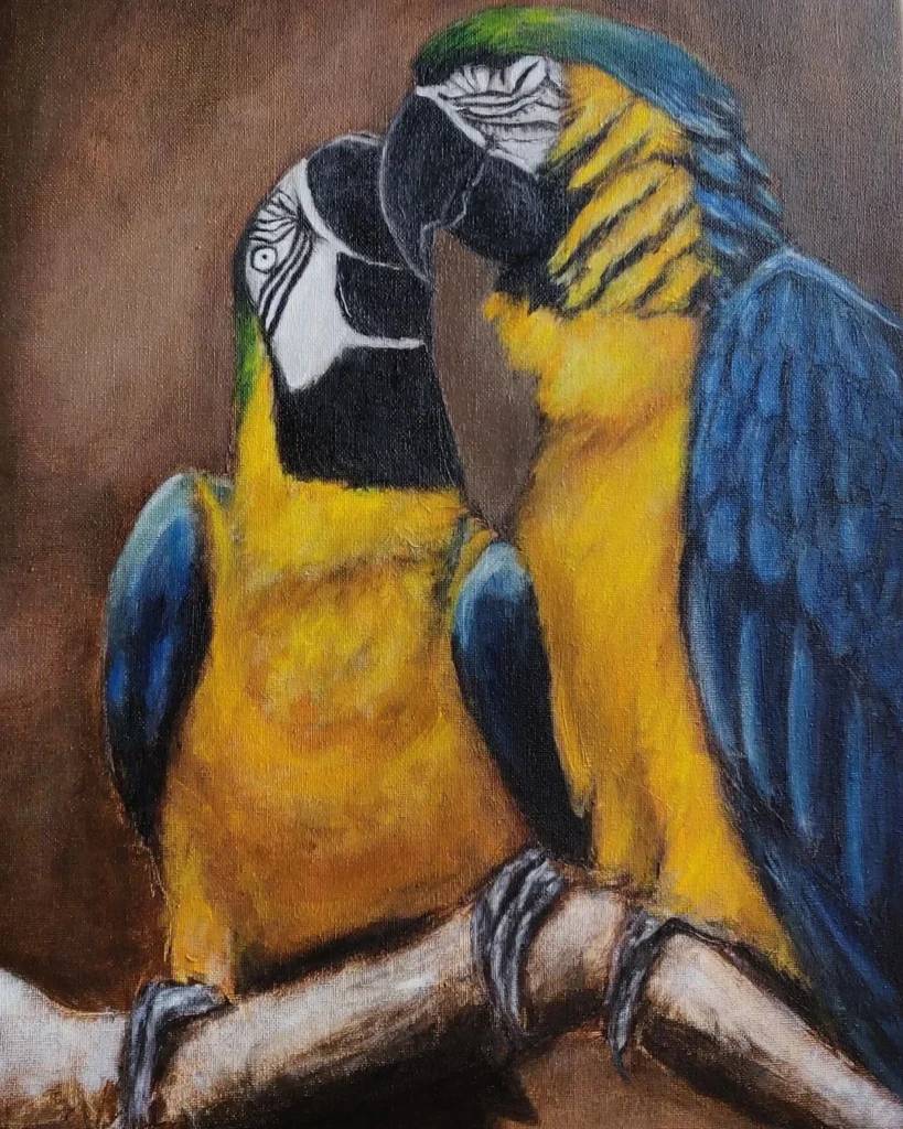 blue and yellow macaws